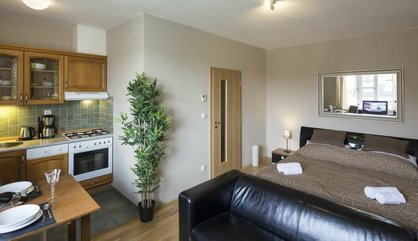 Hotel Apartamenty Plac Wacława Praha - Studio