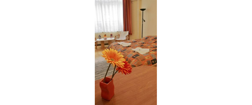 Apartment Wesselényi utca Budapest - Apt 15733