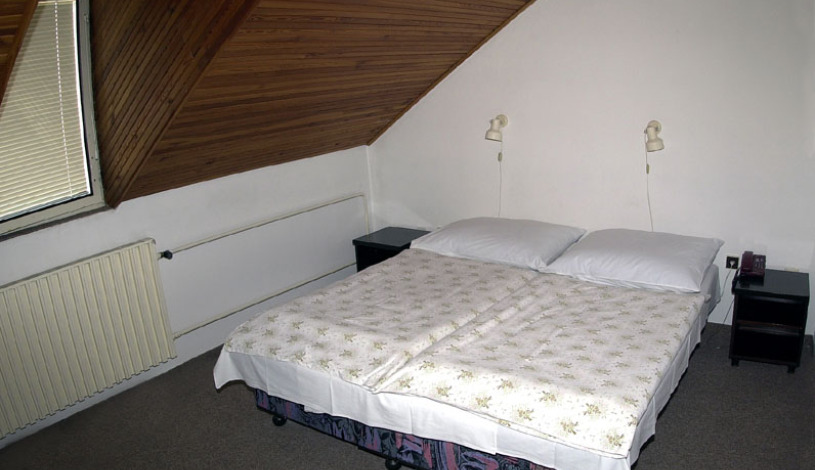 Hotel Wilhelm Praha - Zweibettzimmer