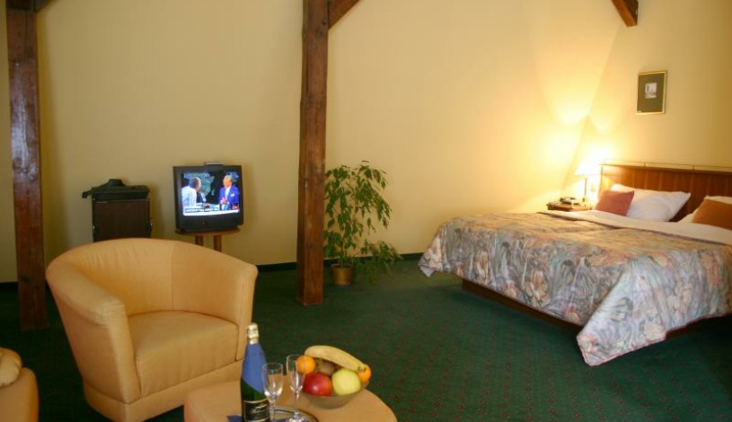 Hotel William – Sivek Hotels Praha - Double room