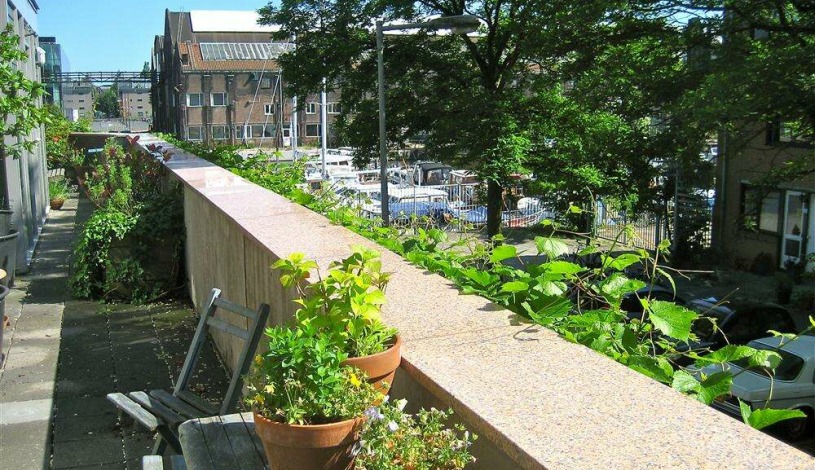 Apartment Windroosplein Amsterdam - Apt 31980