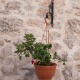 Apt 26942 - Apartment Zadarska ulica Šibenik
