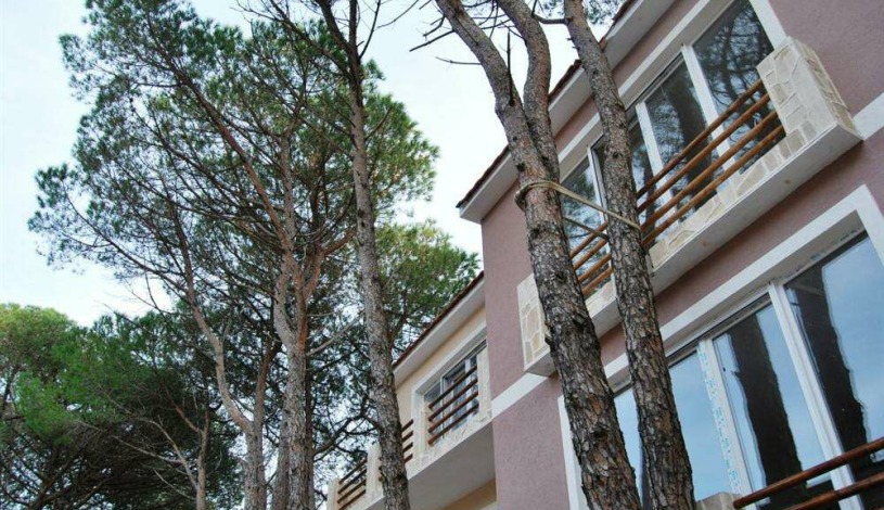 Apartment Mrkovi Žanjic - Apt 29993
