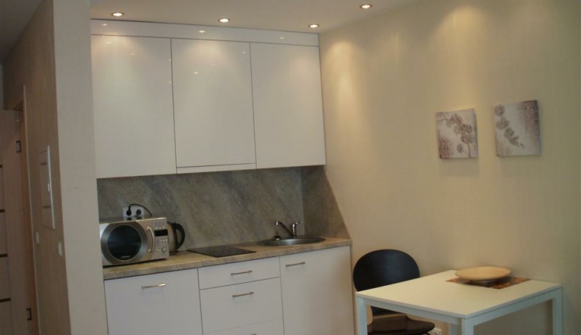 Apartment Žemynos gatvė Vilnius - Apt 47414