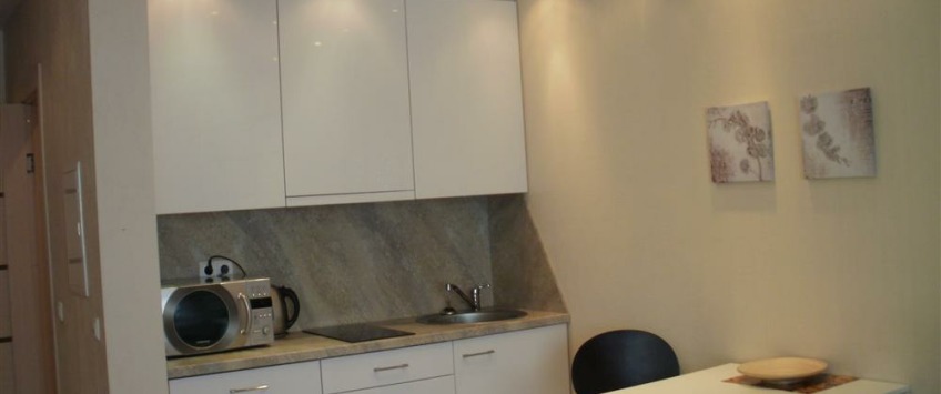 Apartment Žemynos gatvė Vilnius - Apt 47414