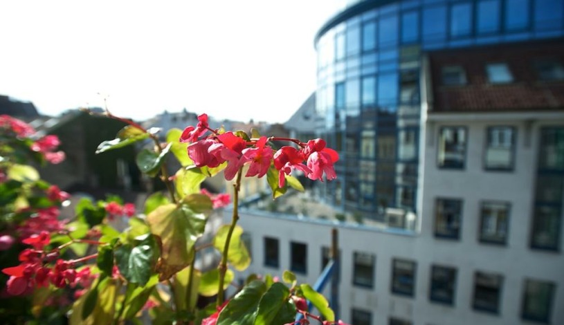 Apartment Zichy Jenő utca Budapest - Apt 30156