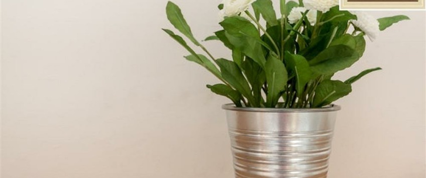 Apartment Zichy Jenő utca Budapest