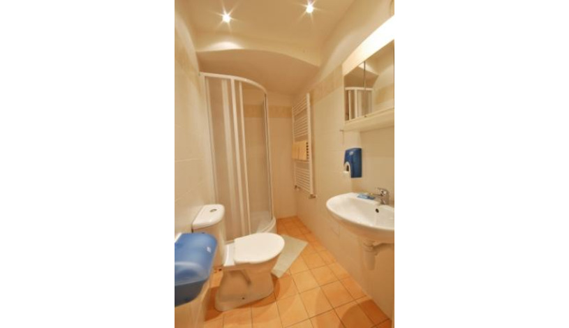 Aparthouse U Zlaté podkovy Praha