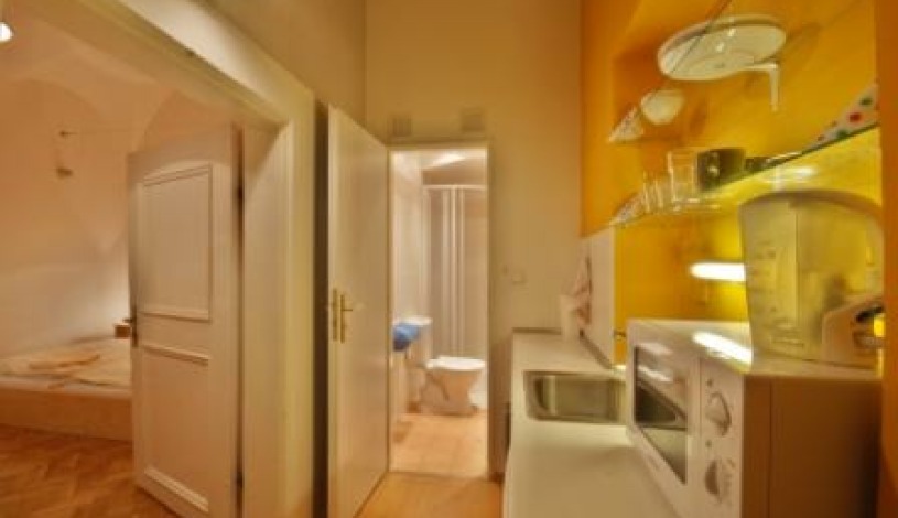 Aparthouse U Zlaté podkovy Praha