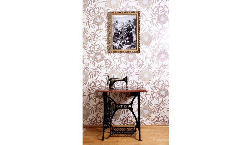 Apartment in Zlin Zlín