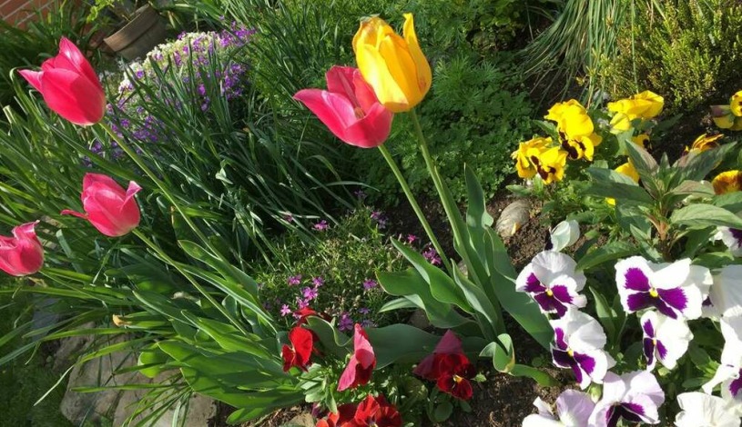 Apartment in Zlin Zlín