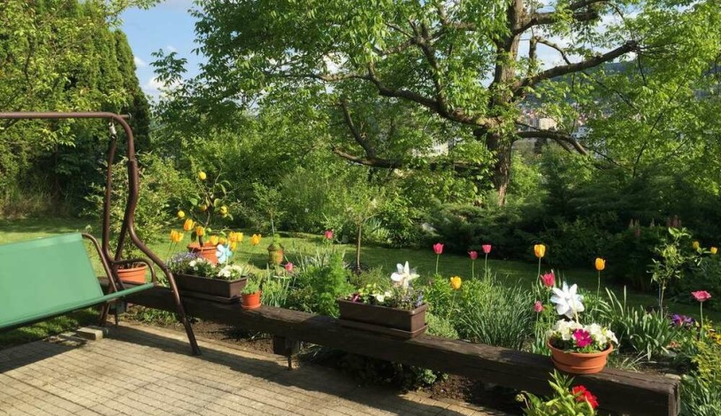 Apartment in Zlin Zlín