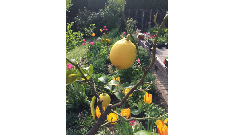 Apartment in Zlin Zlín