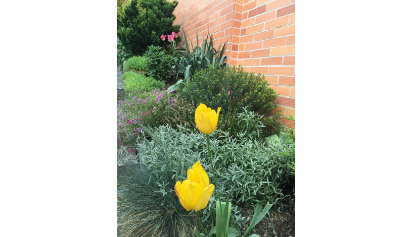 Apartment in Zlin Zlín