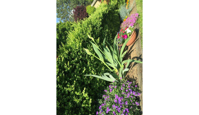 Apartment in Zlin Zlín