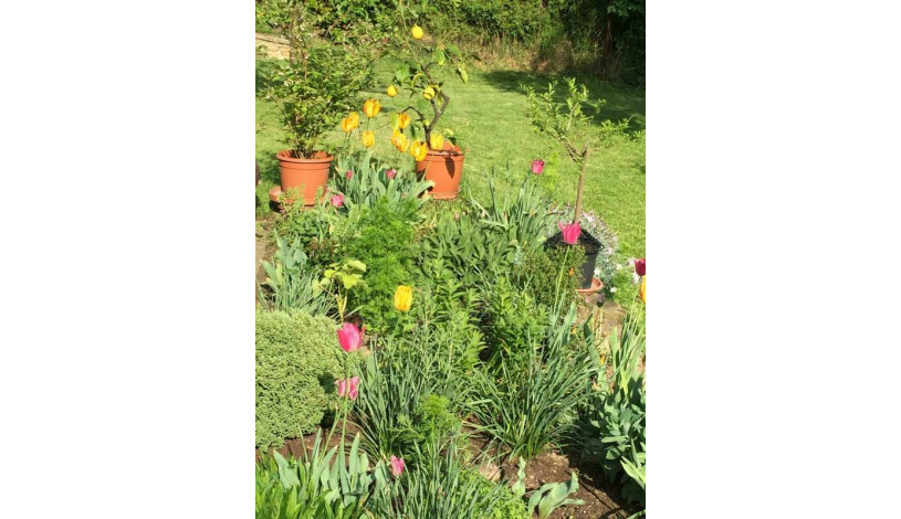 Apartment in Zlin Zlín