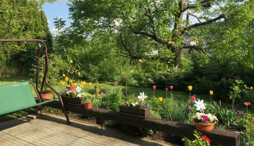 Apartment in Zlin Zlín