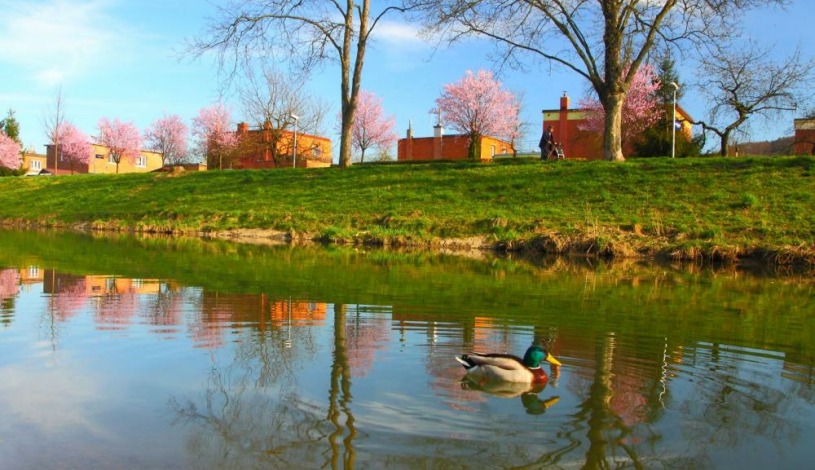Apartment in Zlin Zlín