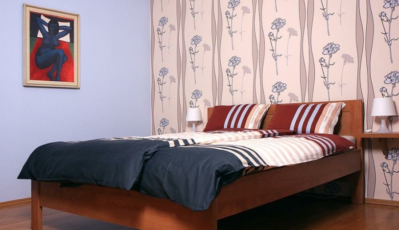 Apartment in Zlin Zlín - Apartmán