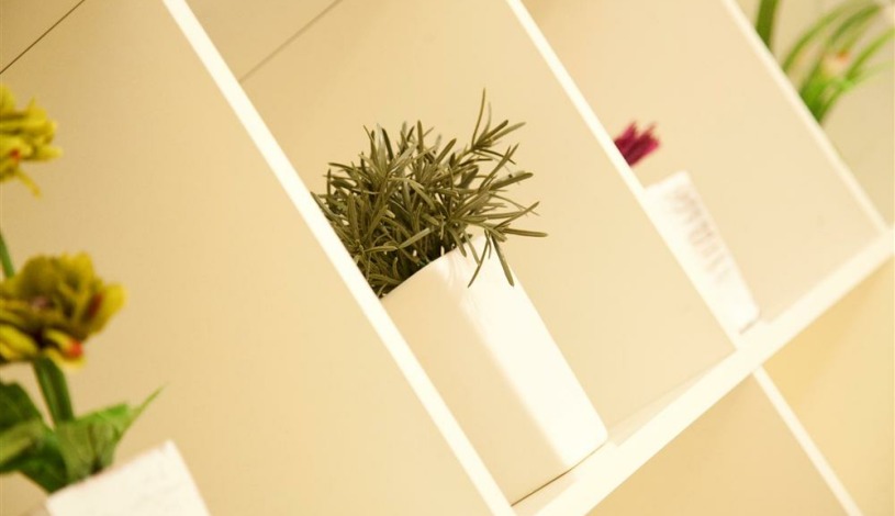 Apartment Zmaj Jovina Beograd - Apt 32170