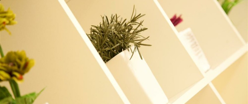 Apartment Zmaj Jovina Beograd - Apt 32170