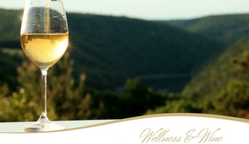 Hotel Katerina Znojmo