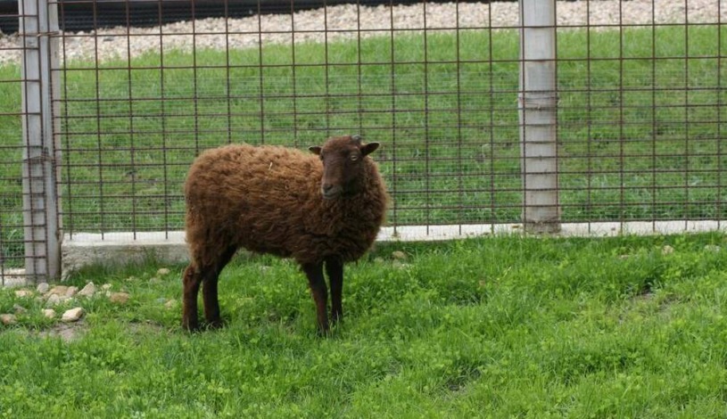 Penzion Panorama Mikulov
