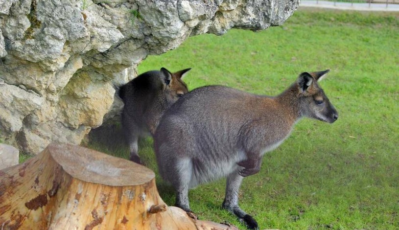 Penzion Panorama Mikulov