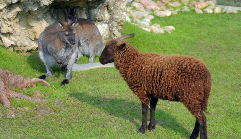 Penzion Panorama Mikulov