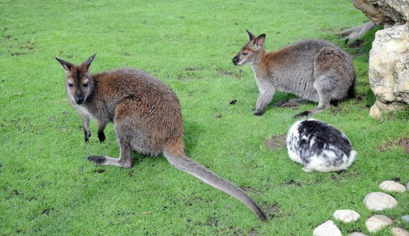 Penzion Panorama Mikulov