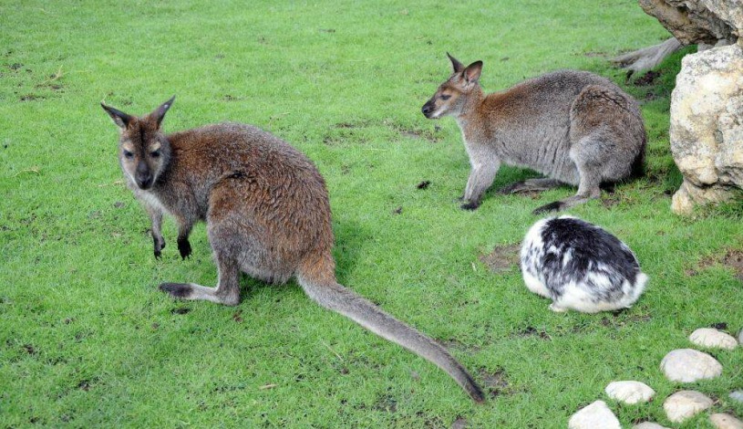 Penzion Panorama Mikulov