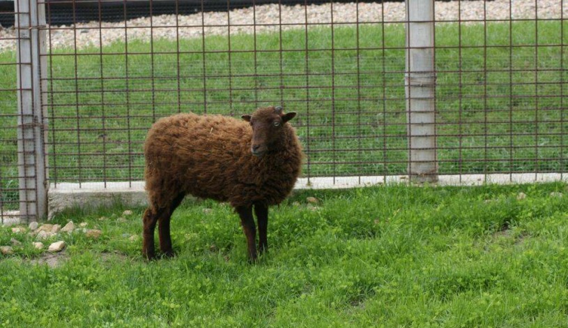 Penzion Panorama Mikulov