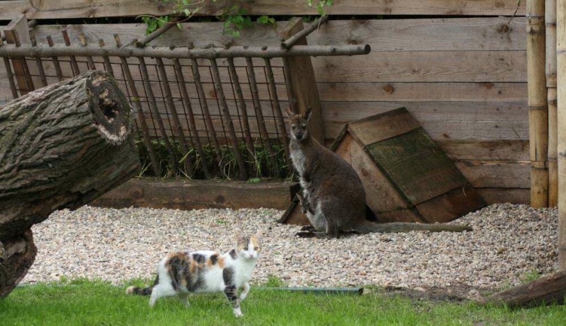 Penzion Panorama Mikulov