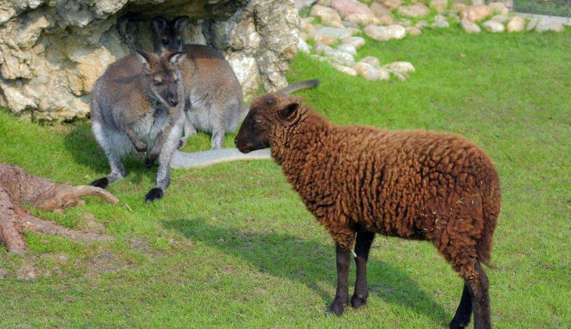 Penzion Panorama Mikulov