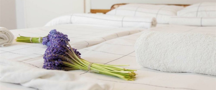 Apartment Žorža Klemansoa Beograd - Apt 22461